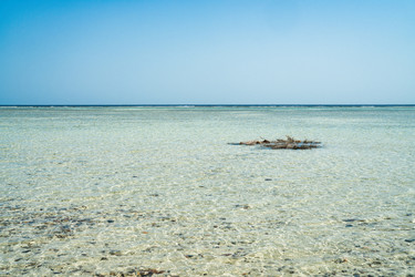 Similar image 22663117