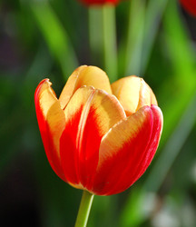 Similar image 22660036