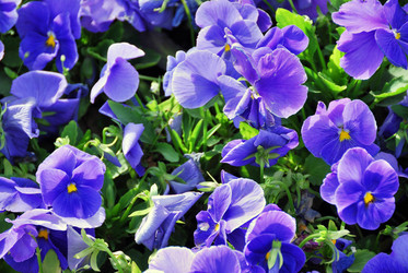 Similar image 22660042