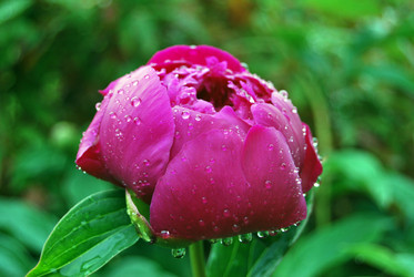 Similar image 22660050