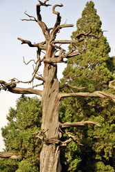 Similar image 22660052