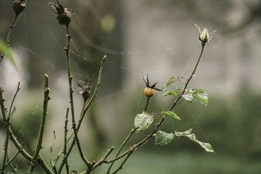 Similar image 22662955
