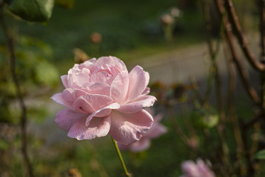 Similar image 22663298