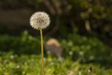 Similar image 22663361