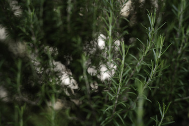 Similar image 22662683