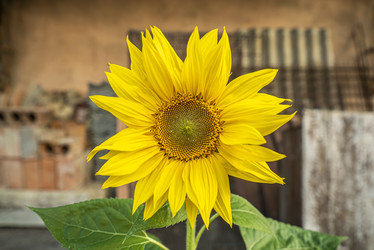 Similar image 22662924
