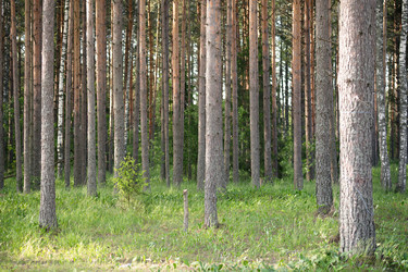 Similar image 22660435