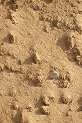 Similar image 22664876