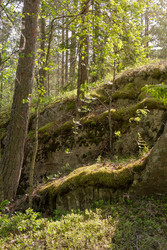 Similar image 22664881