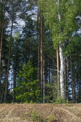 Similar image 22664882