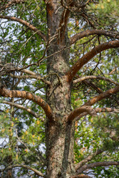 Similar image 22664905