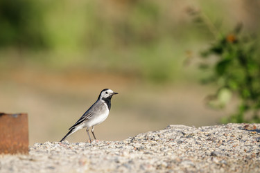 Similar image 22664922