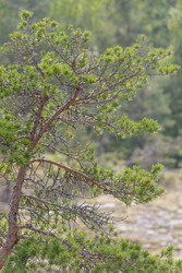 Similar image 22664926