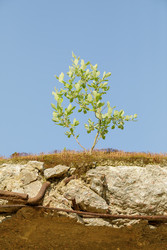 Similar image 22664935