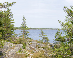 Similar image 22664937
