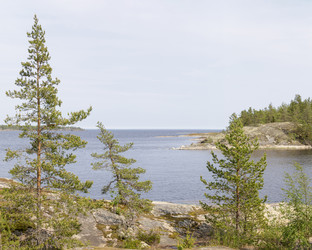 Similar image 22664938