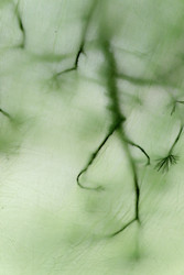 Similar image 22664997