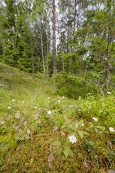 Similar image 22664998