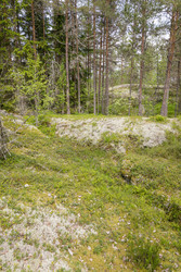 Similar image 22665000