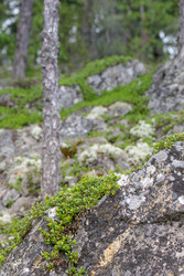 Similar image 22665012