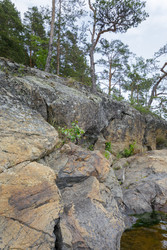 Similar image 22665014
