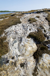 Similar image 22665040