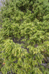 Similar image 22665050