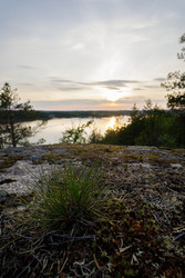 Similar image 22665055