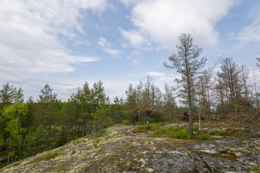 Similar image 22664824