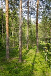 Similar image 22664830