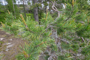 Similar image 22664833
