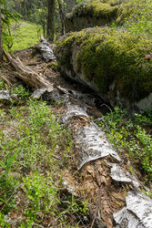 Similar image 22664853