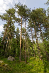 Similar image 22664854