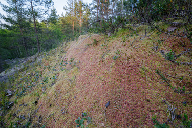 Similar image 22664855