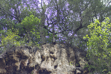 Similar image 22663002