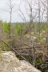 Similar image 22664954