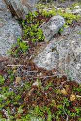 Similar image 22664962