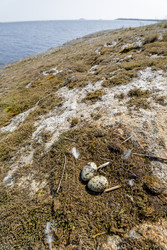 Similar image 22664971