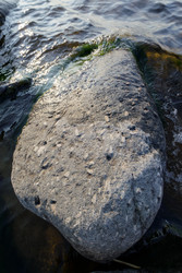 Similar image 22664974
