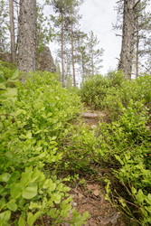 Similar image 22664980