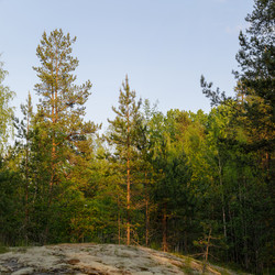Similar image 22664985