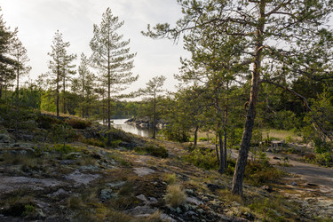 Similar image 22664987