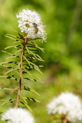 Similar image 22665062