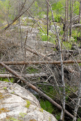 Similar image 22665068
