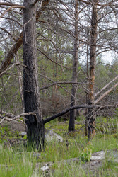 Similar image 22665074