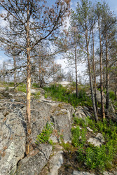 Similar image 22665077