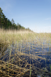 Similar image 22665080