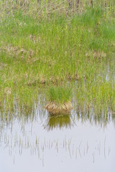 Similar image 22664803