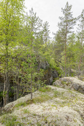 Similar image 22664807
