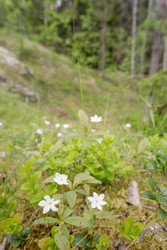Similar image 22664812